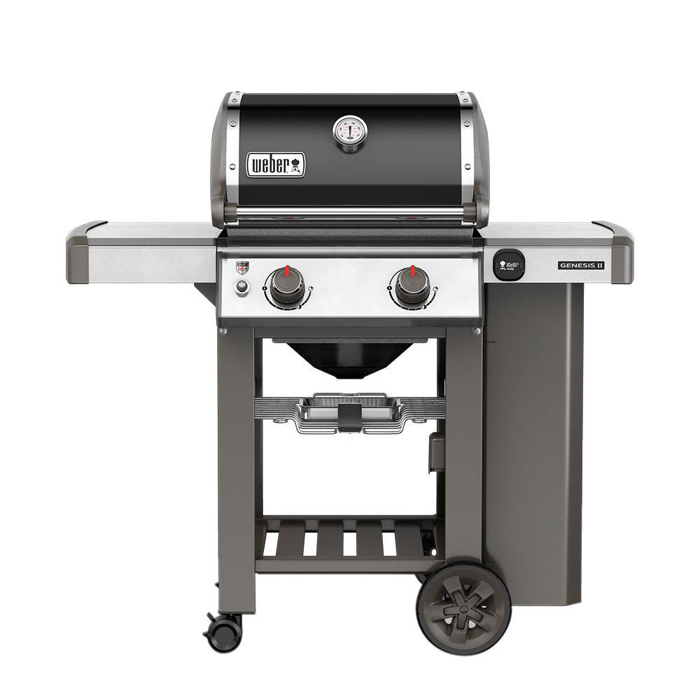 Weber Genesis II E-210